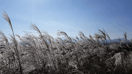 eokse gif