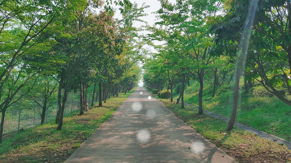 a long walk begins