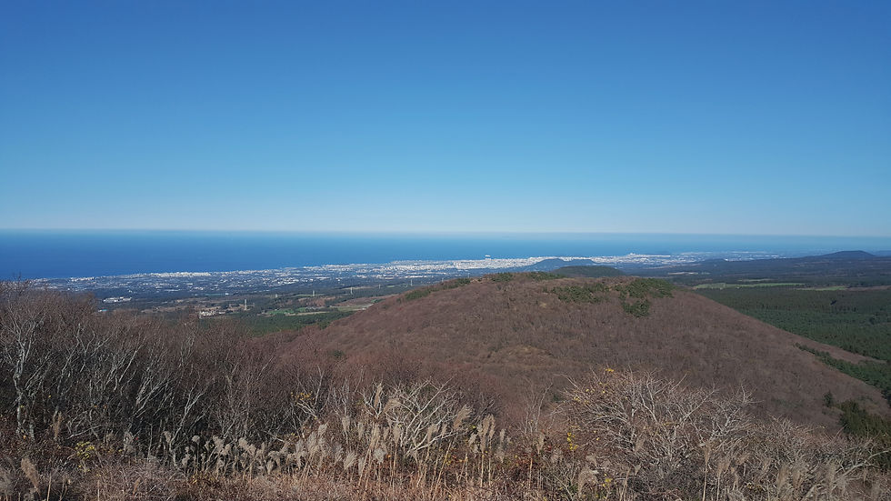 the ocean view