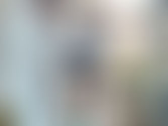 Michoacán, sin casos de influenza aviar: Sader