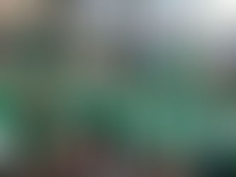 Resalta Ernesto Núñez crecimiento del PVEM en el estado