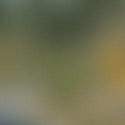 Más cuarteles, más uniformes… y la violencia no cede en la Meseta Purépecha