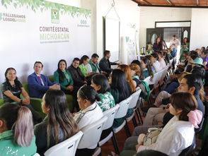PVEM refrenda su postura contra la violencia política en razón de género