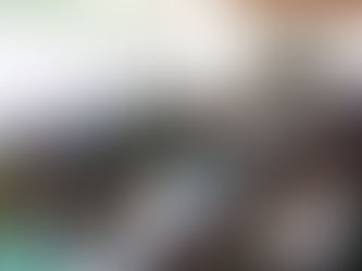 PVEM refrenda su postura contra la violencia política en razón de género