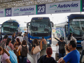 Garantizado el descuento para a personas portadoras de la tarjeta Orgullo Migrante que viaje por autovías: Semigrante