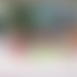 Próximo sábado inicia la Villa Navideña con pista de hielo y espectáculo de patinaje en Ceconexpo.