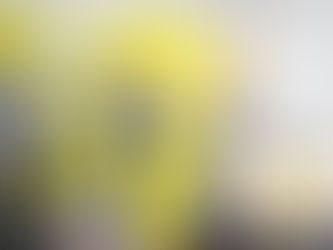 En 2024 seremos protagonistas del proceso electoral: PRD