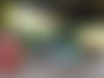 SSP localiza y destruye laboratorio clandestino en Madero