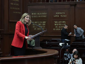 Diputada Brissa Arroyo plantea reconocer el tipo de violencia feminicida en la Ley