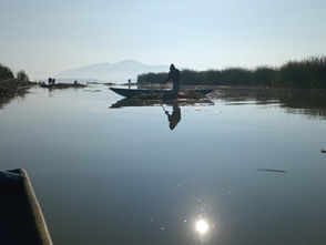El lago de Pátzcuaro recobra vida; en 2026 se han descubierto 18 manantiales