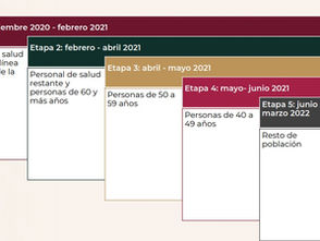 Así se distribuirán las etapas de vacunación contra #Covid19