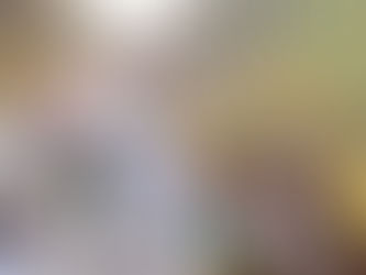 Somos el proyecto de la paz y del desarrollo para Michoacán: Carlos Herrera