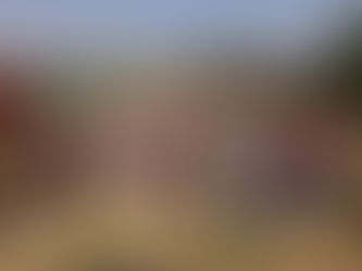 Somos priistas pero votaremos por Alfonso Martínez