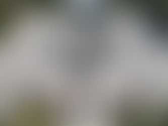 Se refuerza esquema de seguridad contra extorsiones a limoneros: SSP