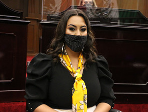 Dignificar labor legislativa para garantizar resultados a los michoacanos, compromiso: Mónica Valdez