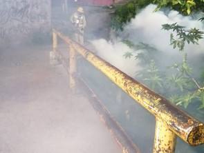 Van más de 800 mil acciones de saneamiento básico contra el dengue, zika y chikungunya