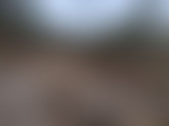 Detiene FGE a seis presuntos responsables de delitos contra el ambiente, cometidos en Uruapan