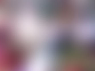 Estado debe asumir sí o sí un compromiso real con la sustentabilidad: Araceli Saucedo