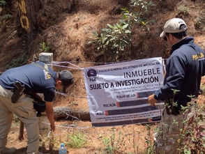 En cateo, asegura FGE predio relacionado en delitos contra el ambiente con fines aguacatero
