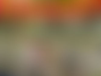 SSP imparte curso de verano con taller de educación vial