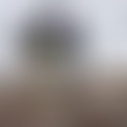 En cateos realizados en Madero y Tarímbaro, asegura FGE 12 vehículos con reporte de robo y alteraciones en los medios de identificación