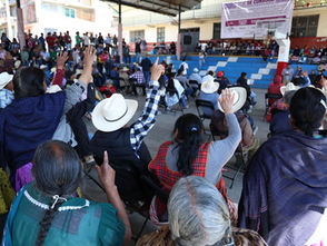 IEM acompaña renovación del Concejo de Gobierno Comunal de Comachuén