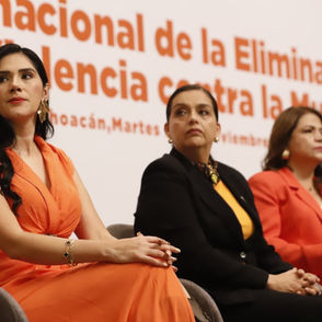 Violencia de género, un tema de urgencia en la agenda gubernamental: Diana Espinoza
