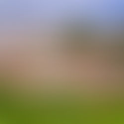 Invierten 2.5 millones en panteón comunal de isla con menos de 300 habitantes