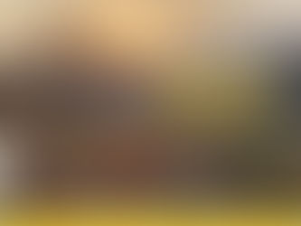 Tribunal Electoral del Estado de Michoacán (TEEM) restablece candidatura del PRD a planilla de Charo 