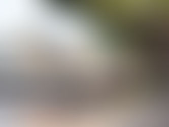 Informa Alfonso Martínez sobre reducción de carriles en av. Quinceo por obra peatonal