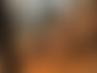 Controlados los incendios forestales en Pátzcuaro y Reserva de la Monarca