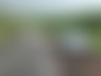 Tránsito del Estado asegura camión robado en Los Reyes