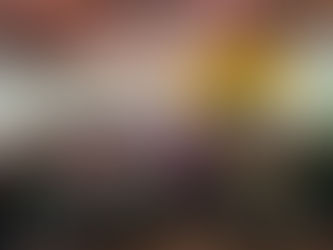 Fortalece Partido Verde sus estructuras en más de 70 municipios