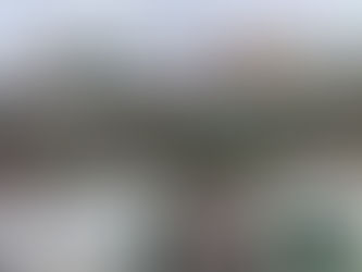 Ejército Mexicano y Guardia Nacional despliegan fuerte dispositivo de tropas