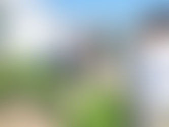 Impulsa Partido Verde creación de vivero en Coahuayana