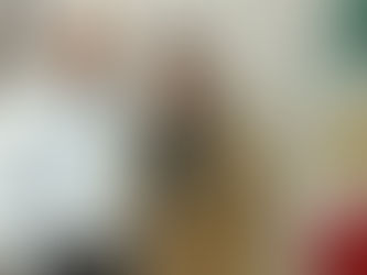 Reconoce Partido Verde compromiso y labor ambientalista del gobierno de Bedolla