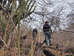 Intensifica FGE operativos de búsqueda en regiones de Coalcomán, Apatzingán, Hidalgo y Zinapécuaro