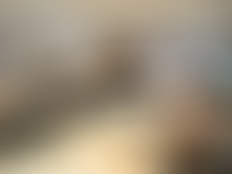 Aprueba IMPLAN proyecto emblemático de Plan Municipal de Desarrollo Urbano a favor de medio ambiente