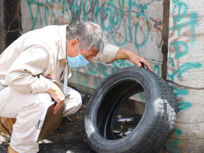 La corresponsabilidad ciudadana, importante en el combate contra el dengue