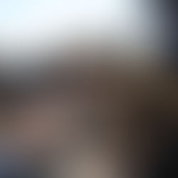 FGE y fuerzas estatales y federales cierran el paso a economías ilícitas con destrucción de 803 máquinas