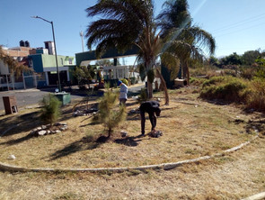 Gobierno Municipal continúa transformando espacios públicos y áreas verdes de Morelia