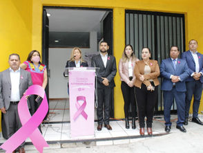 Preocupante el aumento de delitos en contra las mujeres: PRD