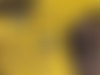 En una rápida movilización, Guardia Civil asegura arma de fuego y cartuchos útiles; hay un detenido