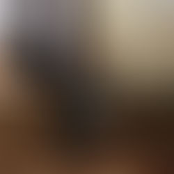 En representación del Congreso, Octavio Ocampo llama a la unidad y a la construcción de un Michoacán con paz y justicia