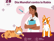 Michoacán con 26 años libre de casos de rabia en humanos