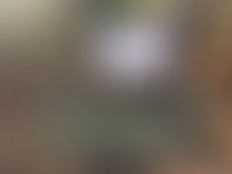 En La Huacana, fuerzas estatales y federales aseguran siete fusiles y equipo táctico