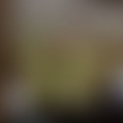 Barragán propone bonificación en recibos del servicio de agua