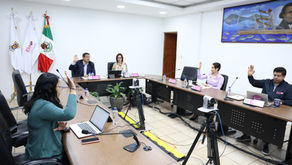 Válida IEM la consulta en la comunidad indígena de Donaciano Ojeda