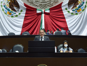 MORENA EL MAYOR ENEMIGO DEL CAMPO MEXICANO: DIPUTADOS FEDERALES PAN