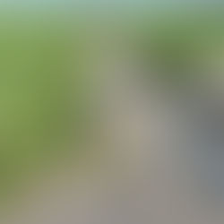 SSP y fuerzas federales refuerzan seguridad en límites de Michoacán y Colima